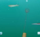 Hry on-line:  > Shooting fish (sportovní free flash hra on-line)