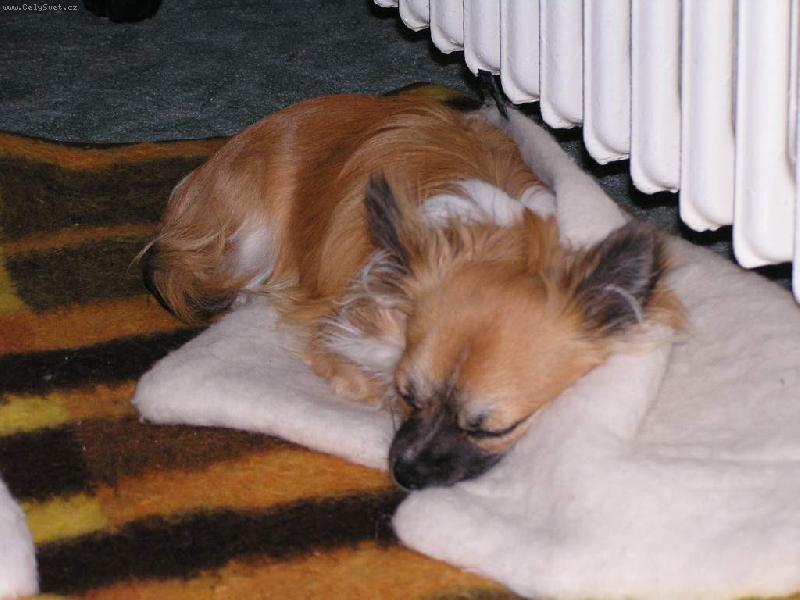 Foto: Tepeln� akumul�tor-Eli�ek m� r�d teplo.