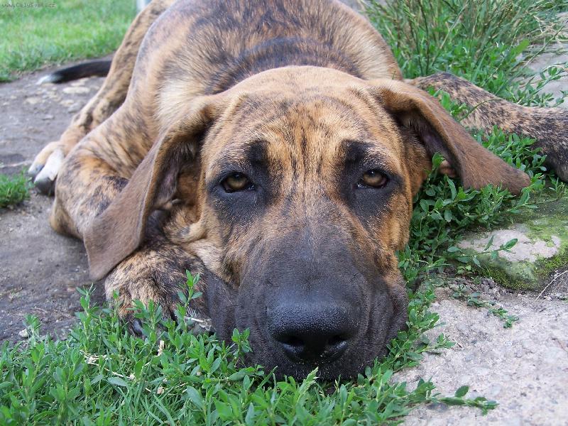 Foto: Fidel-5 m�s�c�