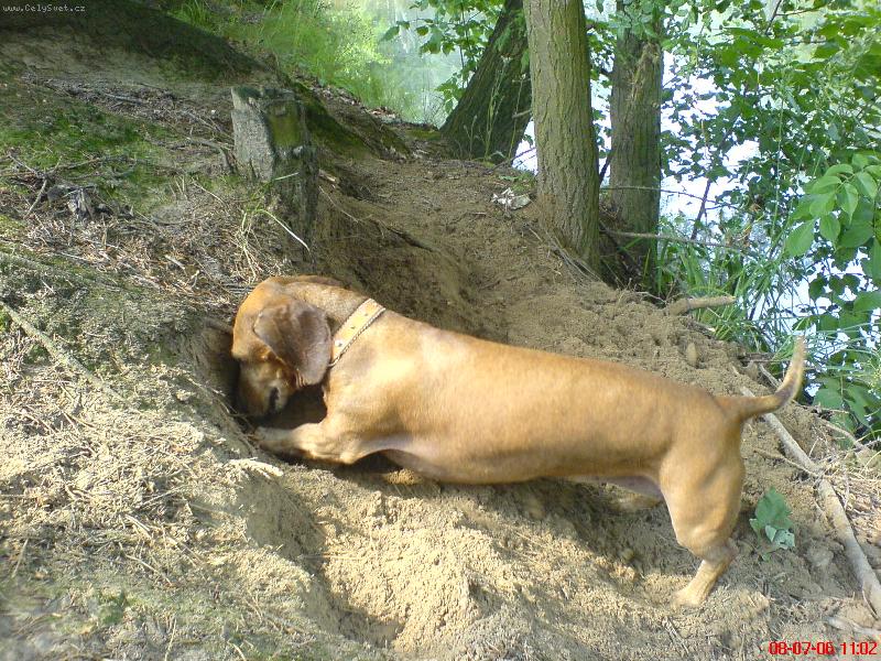 Foto: norn�k...-norn�k...