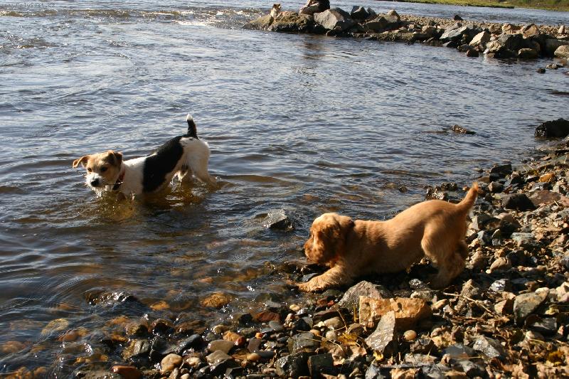 Foto: Fatty-u Vltavy