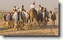 SAE – Spojené Arabské Emiráty
