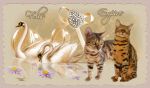 Chovatelska stanice psů: FELIS EMPIRE